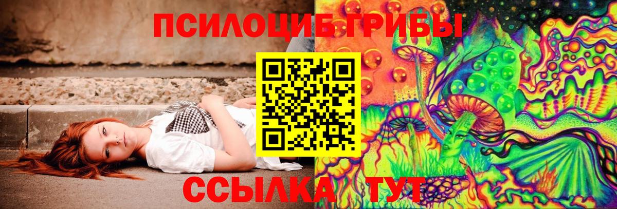 купить наркотики цена  Псилоцибиновые грибы MAGIC MUSHROOMS  Галлюциногенные грибы Magic Shrooms  Вход с VPN  Назрань 