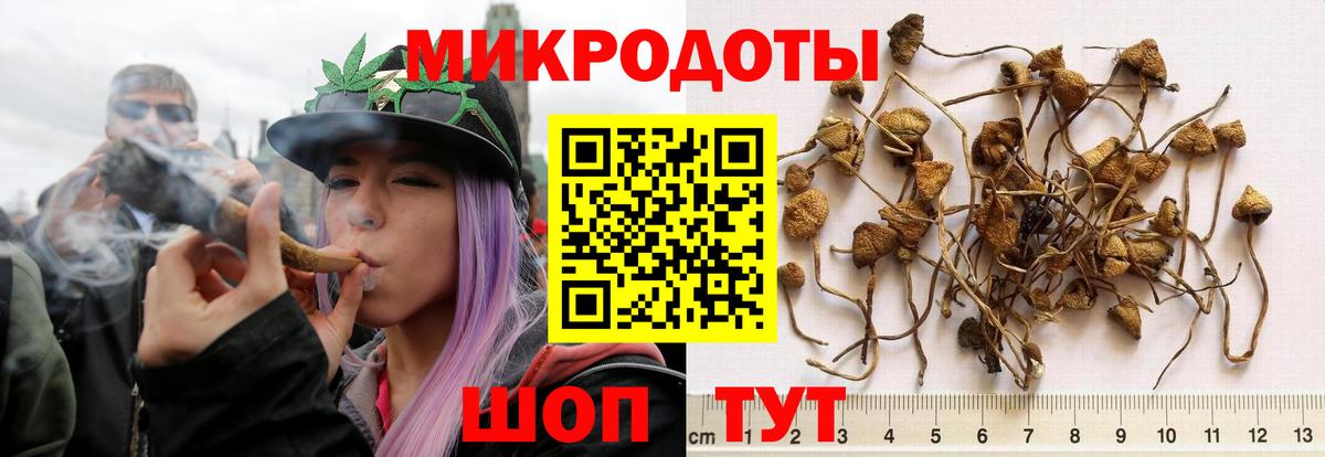Галлюциногенные грибы мицелий Назрань